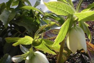 blog3