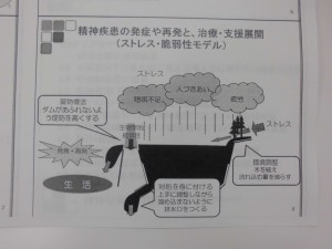 CIMG0851